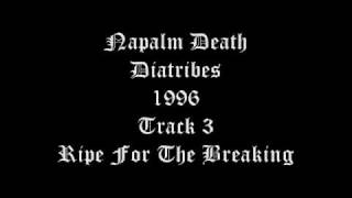 Napalm Death - Diatribes - 1996 - Track 3 - Ripe For The Breaking