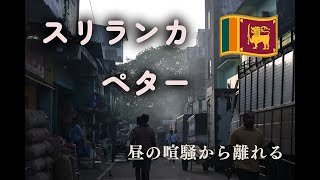 朝のペター|昼の喧騒から離れる