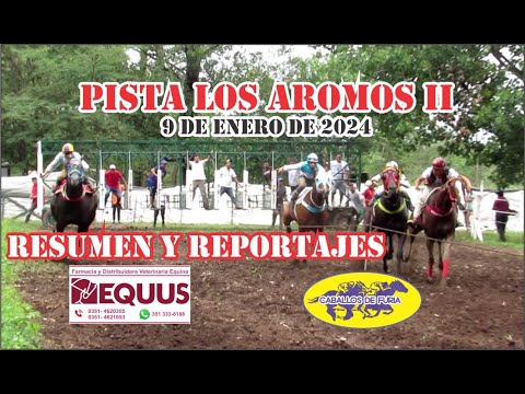 Resumen Pista Los Aromos II 9 de enero 2024