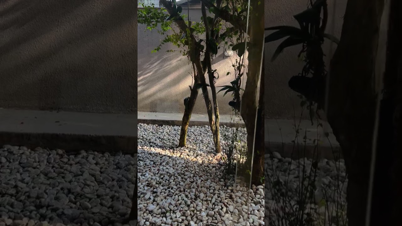 Natália Figueiredo Miranda-8