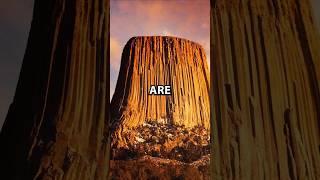 Are Mountains The Remains Of Ancient Giant Trees