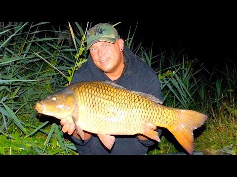 Karpfenangeln VTB 46 - Instant Onenighter im Hochsommer