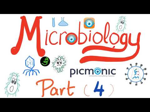 Microbiology - Viridans, Streptococcus pyogenes, agalactiae, bovis, Enterococci - Picmonic- Part 4