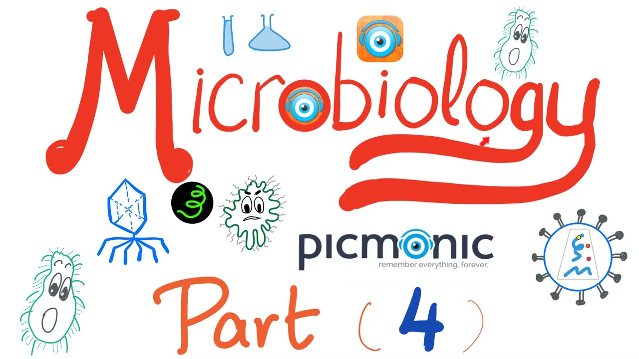 Microbiology - Viridans, Streptococcus pyogenes, agalactiae, bovis, Enterococci - Picmonic- Part 4