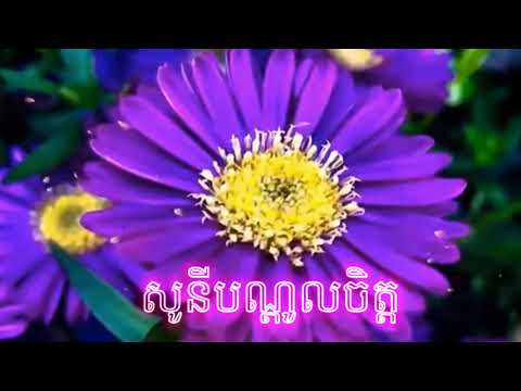 សូនីបណ្ដូលចិត្ត | Sony bandol chit | ច្រៀងដោយ: ជិញ ចន្ថា | Covered by: Chinh Chantha