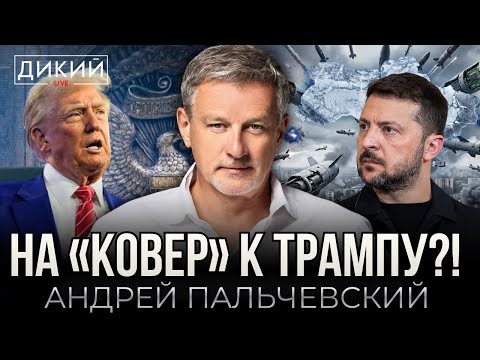 НАСТУПАЯ НА МОЗОЛЬ. АНДРЕЙ ПАЛЬЧЕВСКИЙ | ДИКИЙ LIVE