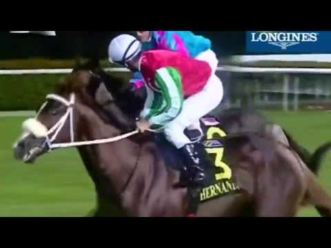 2011 Singapore Airlines International Cup G1 - Gitano Hernando (西國浪人) - G.Schofield