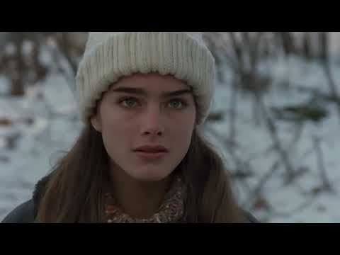 The Final Call - Zak Vortex (Official Video) - Video by @Atomic_Robo_Kid__Nostalgia