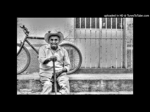 Το Μαύρο Λούκι,Alpha Ypsilon,Loopatic,Lobo Amarillo - Μαθαίνω,προσαρμόζομαι,εξελίσσομαι και ζώ