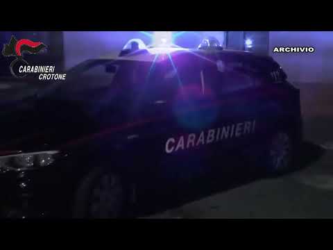 MESORACA(KR): SORPRESI A COLTIVARE 2500 PIANTE DI MARIJUANA, TRE ARRESTI