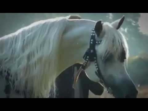 Ramses Mishaal Nadir