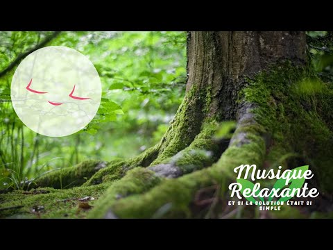 1 heure reiki énergie - Musique pour reiki - clochette toutes les 2 minutes - Reiki healing energy
