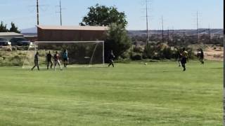 Quick reaction saves goal