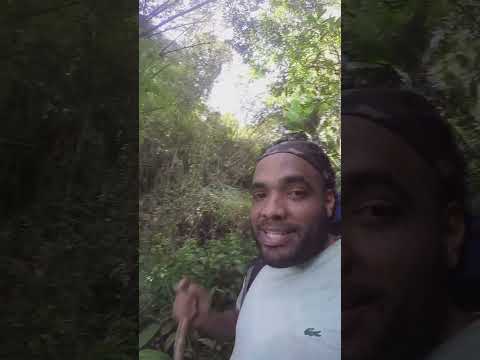 Travesía de San Joaquín de carabobo a ocumare de la costa camino extremo