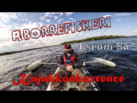 esrum-soe