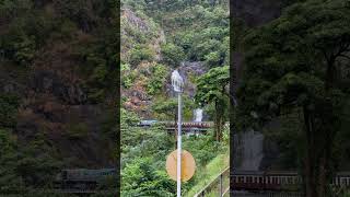 This 1.5 hour historic train journey was one of our highlights in #Cairns 🇦🇺 #kuranda #traintravel