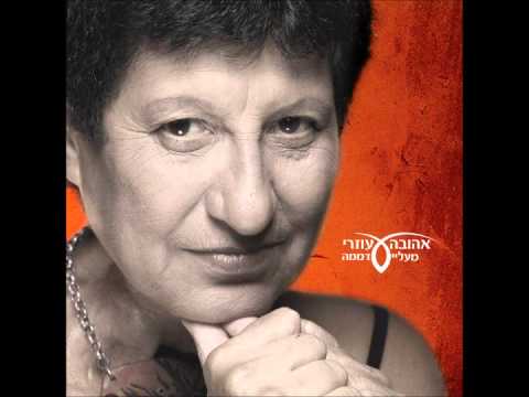 שי צברי - מעליי דממה