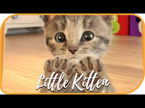 Little Kitten & Friends - Learn with the Cutest Cat Best App for Kids - learning for children #2