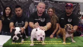 Sinner Bully Crew Bully Beach Expo Interview