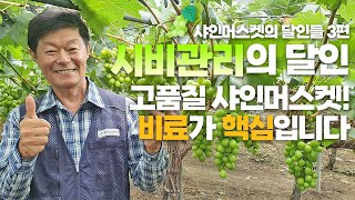 샤인머스켓의 달인들 3편 : 샤인머스켓 비료 관리 상품성과 토양 관리 모두 잡는 법