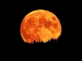 The Moon Song (Remix) - Karen O ft. Spike Jonze ...