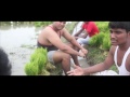 Agriculture Loyola Vijay