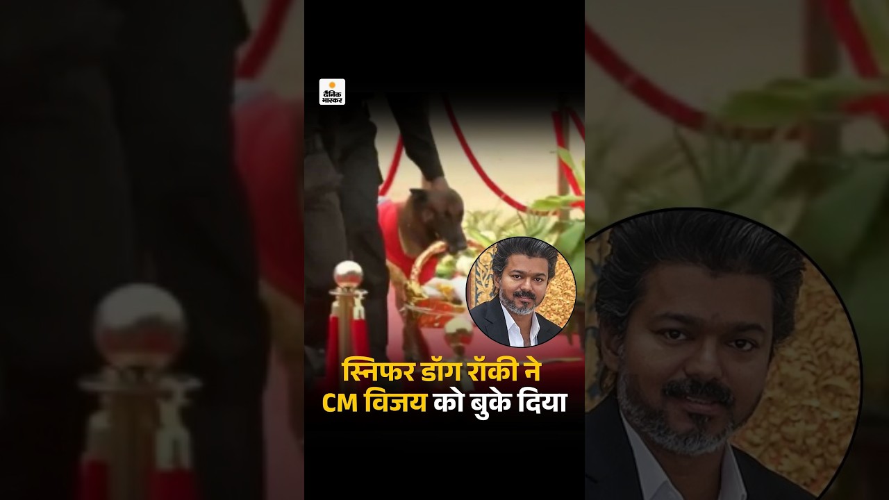 Sniffer Dog Rocky Welcomes CM Vijay With Bouquet: स्निफर डॉग रॉकी ने  CM विजय को बुके दिया