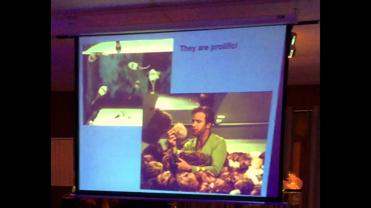 TCMAS - Sustainable Aquatics Presentation - Fall 2014