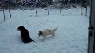 Snow05