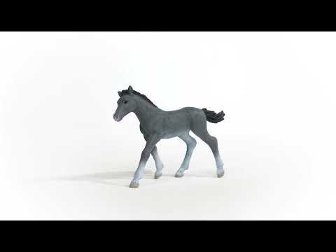 SCHLEICH „Arklių klubas“ figūrėlė - Trakėnų veislės kumeliukas video