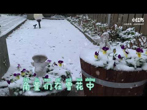 园艺篇｜冬日下雪的花园