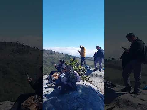 Piedra del águila. Cordillera nahuelbuta...