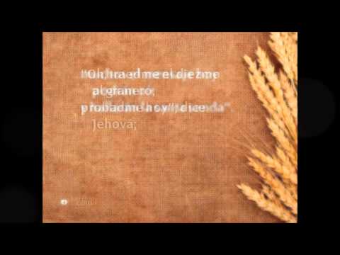 522 Suenen las palabras.wmv