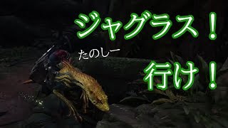 #14【モンスターハンターワールド実況】ジャグラスと一体となる古代樹の森実況【上位突入】