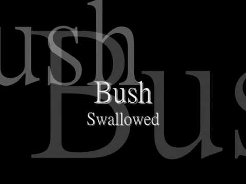 Bush - Swallowed [lyric] HQ