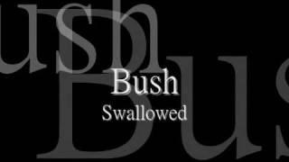 Bush - Swallowed [lyric] HQ