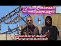 Aj To Garmi Ny Kabutaro Ka Bura He Hal Kr Deya Chachu Papay Ny 4 Number Lagay Kabutar Pakry