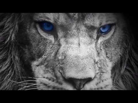 LET EM COME v LEEDS UNITED