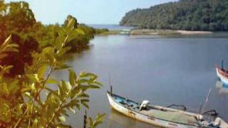 preview picture of video 'River at the end of Agonda beach.m4v'