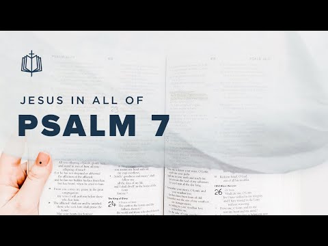 Psalm 7 | I Take Refuge in You | Bible Study