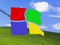 Windows XP Logo