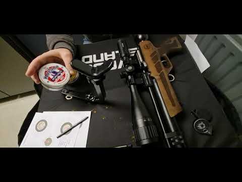 SMK spitfire .22 pellets. 20m kral NPo2.