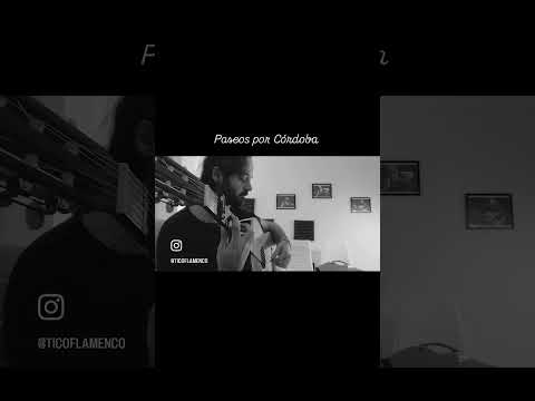 Promotional video thumbnail 14 for Tico Flamenco
