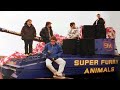 Super Furry Animals - The Furry Years [S4C Documentary 2015 - HD Upscale]