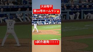 【16号】大谷翔平 3試合連続の16号ホームラン🔥 古巣エンゼルスから一発! #大谷翔平 #大谷 #ドジャース #ホームラン #今日の大谷さん #盗塁 #現地映像 #第16号 #16号 #3試合連続