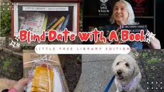 I Packed Mystery Books for Little Free Libraries & Here's What Happened 📚