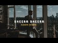 Dheera Dheera Slowed Reverb Soul Vibez
