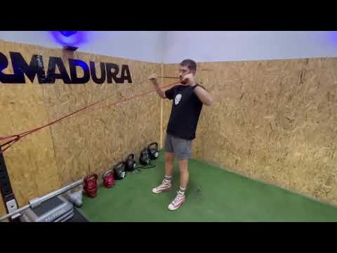 Face Pull con Bandas