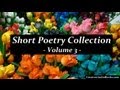 Short Poetry Collection Volume 3 - FULL AudioBook ...