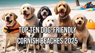 Top 10 Year-Round Dog-Friendly Beaches in Cornwall 2025